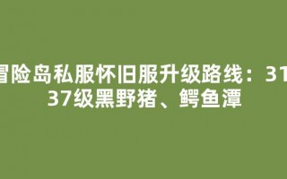 冒险岛私服怀旧服升级路线：31-37级黑野猪、鳄鱼潭